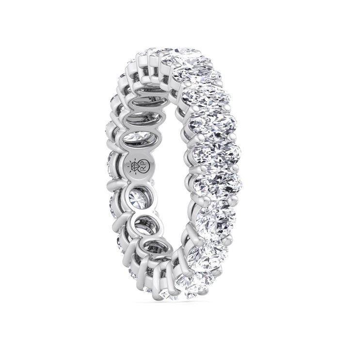 Double Shape - Oval &amp; Round Eternity Band