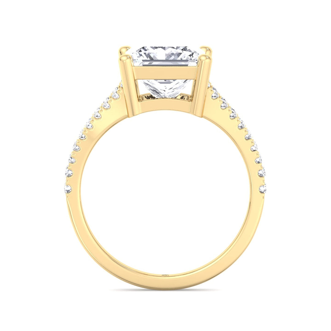 Princess Cut Engagement Ring With Double Band &amp;  Sidestones