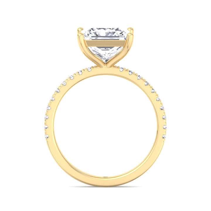 Princess Cut Engagement Ring With Pavé Band
