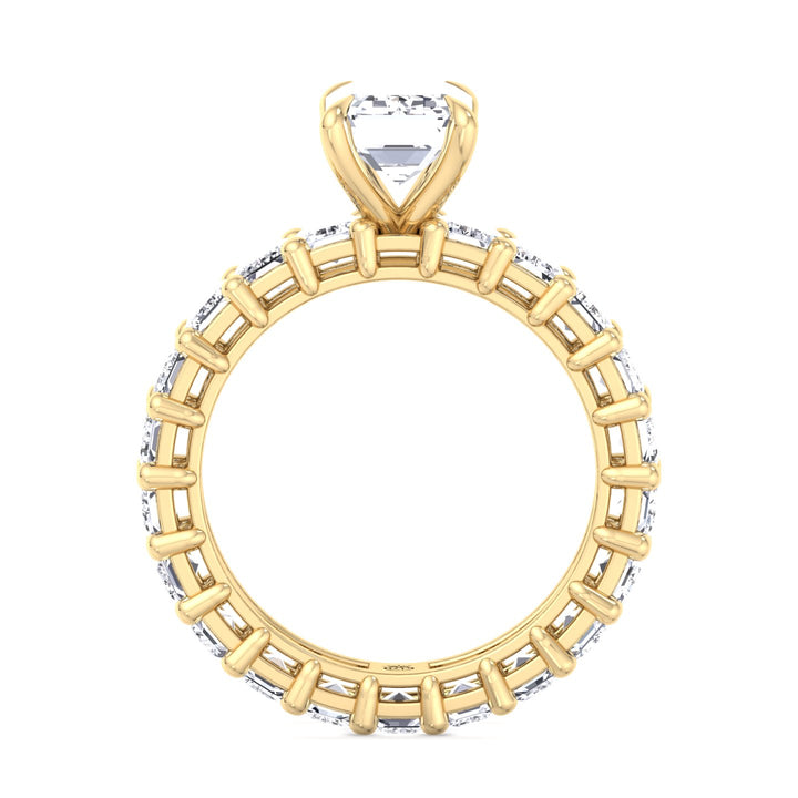 Emerald Cut Eternity Engagement Ring