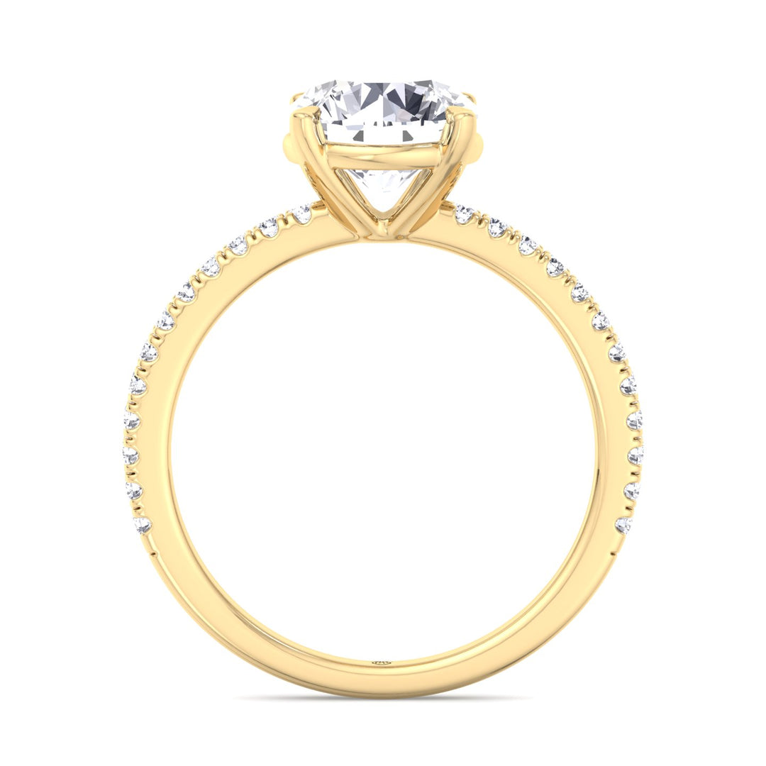 Round Cut   Engagement Ring with Sidestones